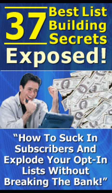 Product picture The Secret Is In Listbuilding